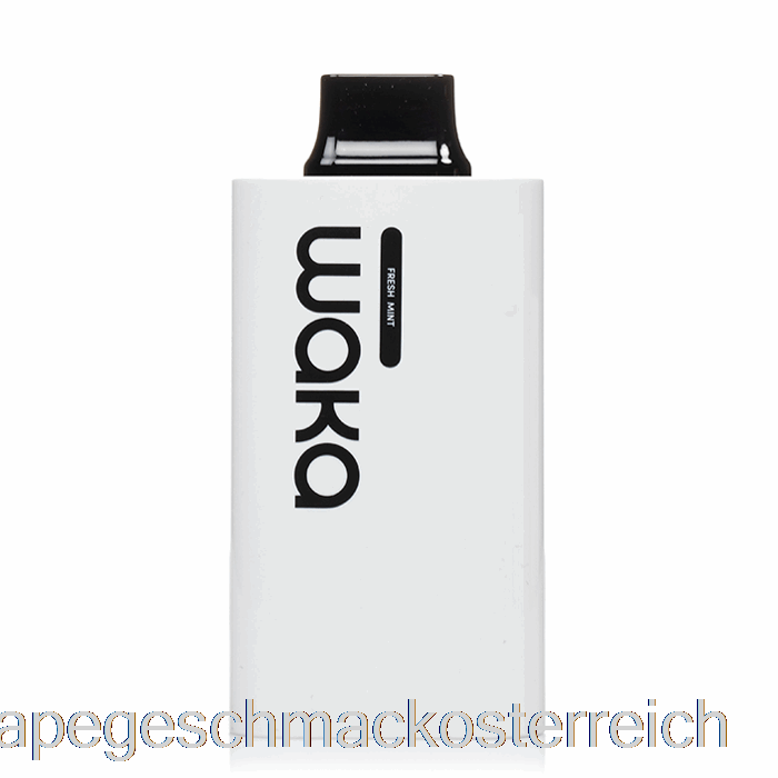 Waka Sopro Pa10000 Einweg-Vape-Geschmack Mit Frischer Minze